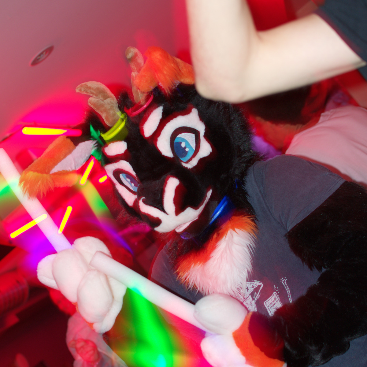 About Faunaesthetic Events